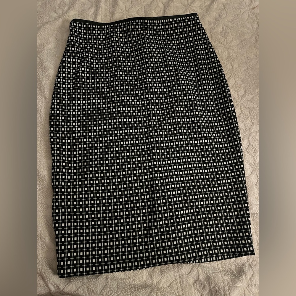 Express Pencil Skirt